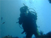 moritaさん｜雲見でダイビング｜2010/07/19