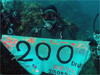 yossy 祝・200ダイブ｜三宅島でダイビング｜2010/09/18