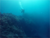 風景 [5]｜三宅島でダイビング｜2010/09/19