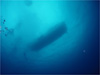 水面｜伊戸でダイビング｜2010/11/23