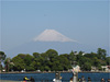 今日の富士山｜大瀬崎でダイビング｜2010/11/28