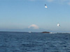 館山から見る富士山｜伊戸でダイビング｜2011/01/02