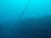 本日の透明度｜勝浦でダイビング｜2015/04/29